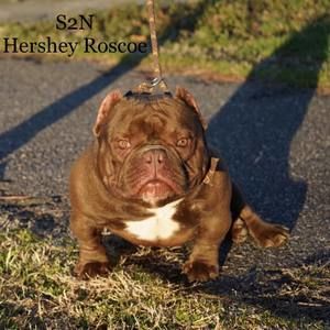 Meet your Posher, Rakim